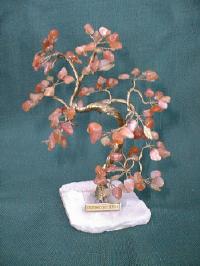 tree17a.jpg (12410 bytes)